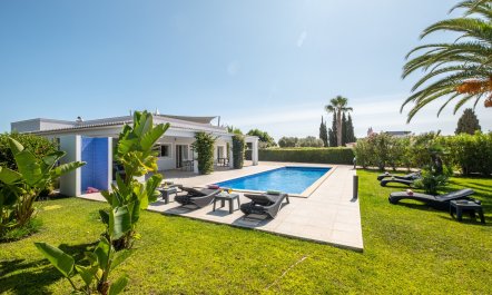 Sea Full Of A Dream 2