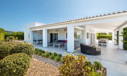 Sea Full Of A Dream 0