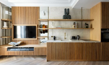 The Parisian Midcentury 1