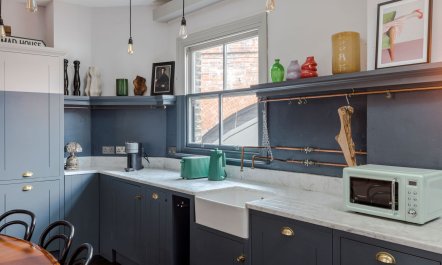 The Curator's Gallery 5