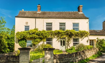 Tea, Flowers & Trees