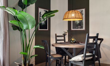 Jungle Canopy 5