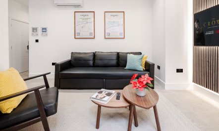 The Modern Mystique 1