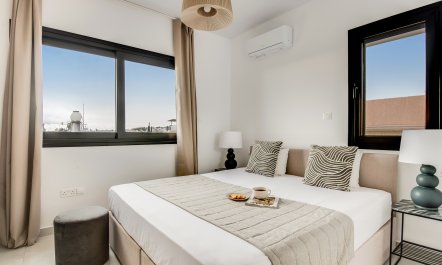 Cityscape Oasis 8