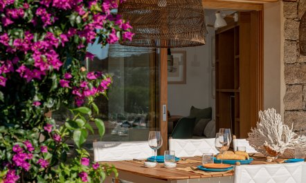 Bougainvillea Kiss 7