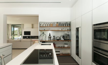 Pure Oasis 8