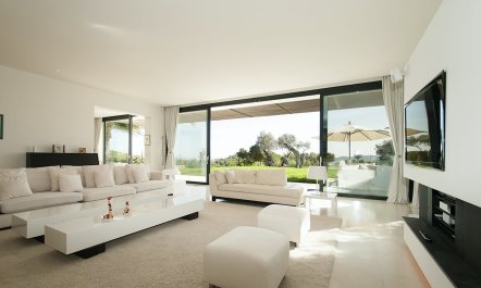 Pure Oasis 2