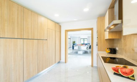 The Spectacular Sun 3