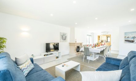 The Spectacular Sun 1