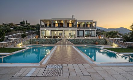 Fireflies at Sunset