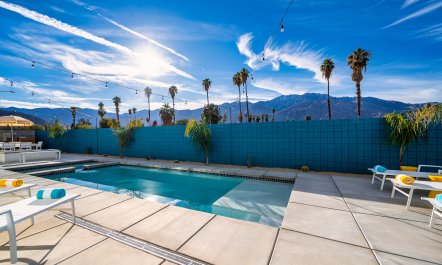 Palm Springs & Palm Trees 3