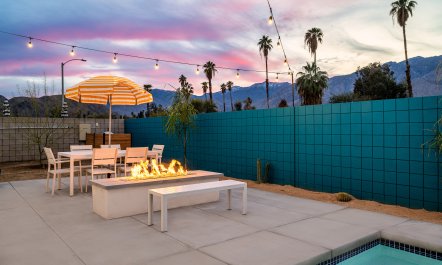 Palm Springs & Palm Trees 4