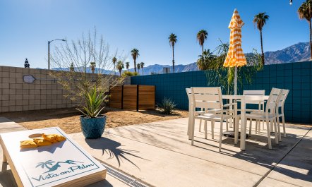 Palm Springs & Palm Trees 1
