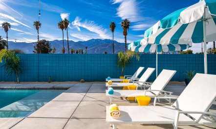 Palm Springs & Palm Trees