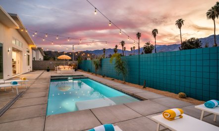 Palm Springs & Palm Trees 5