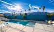 Palm Springs & Palm Trees 3