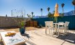 Palm Springs & Palm Trees 1