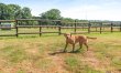 1 Bed in Beaworthy 6