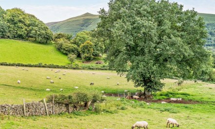 1 Bed in Crickhowell 2