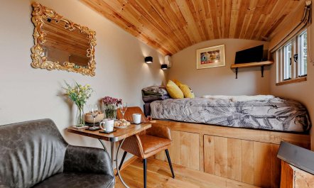 1 Bed in Welshpool 9