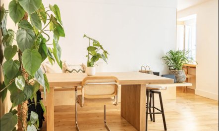 Serene River Retreat 4