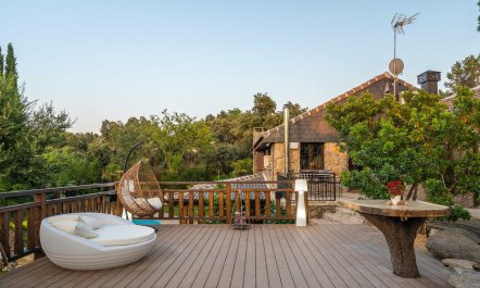 An Ode to Sunshine 5