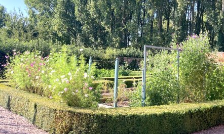 The Garden of Tranquility 3