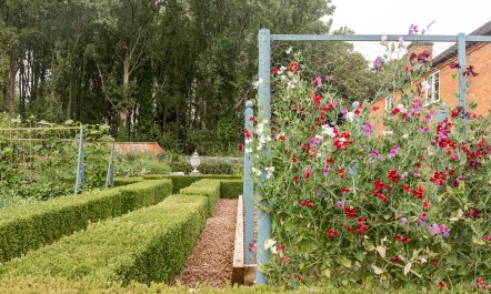 The Garden of Tranquility 1