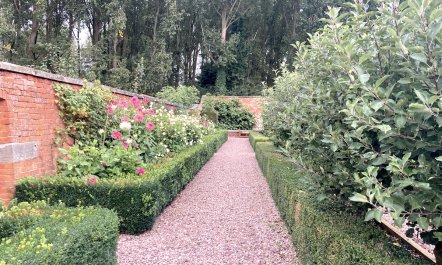 The Garden of Tranquility 2
