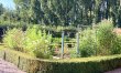 The Garden of Tranquility 3