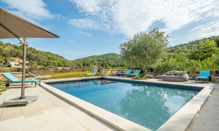 The Scent of Flowers 1