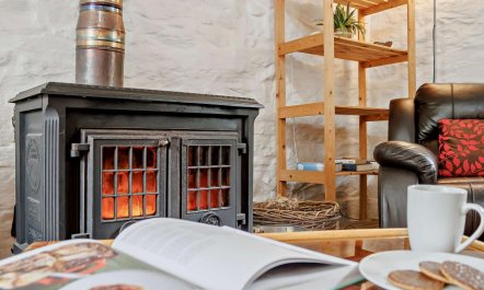 1 Bed in Machynlleth 8