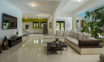 Zenith Haven 7