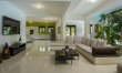 Zenith Haven 7