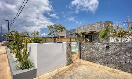 Eucalyptus & Olive 3