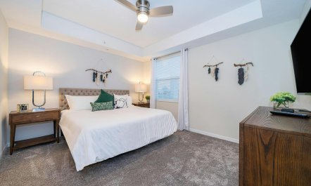 Palm Tree Memories 5