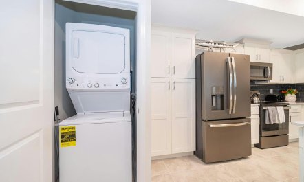 Palm Tree Memories 3