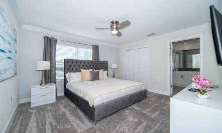 The Master of the House 6