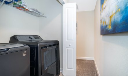 The Master of the House 5