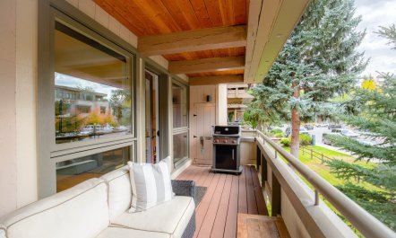 Aspen Mountain Oasis 0