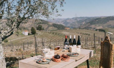 Where the Flowers Bloom