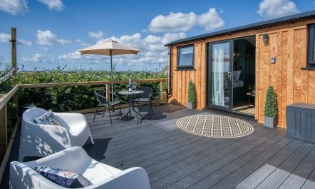 Tranquil Willow Haven