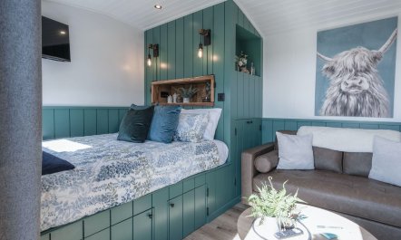 Tranquil Willow Haven 3