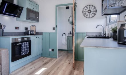 Tranquil Willow Haven 2