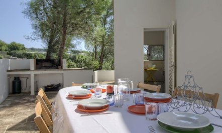 Olive Grove Haven 1