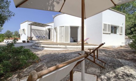 Olive Grove Haven 4