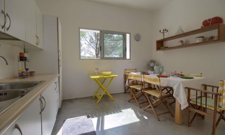 Olive Grove Haven 9