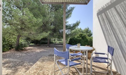 Olive Grove Haven 2