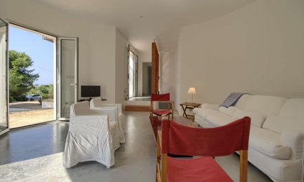 Olive Grove Haven 6