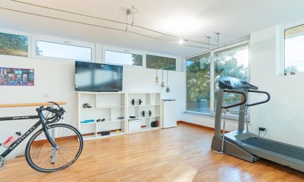 Elegant Olive Grove Retreat 1